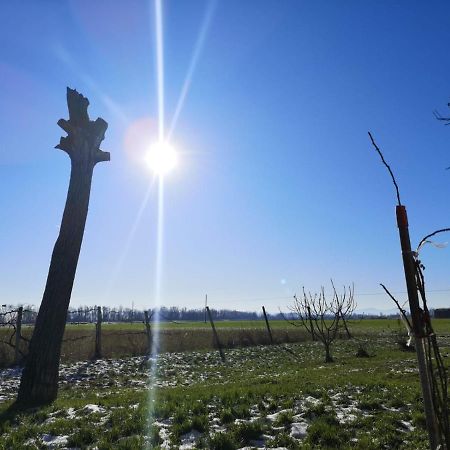B&B De Carol Gramignazzo Zewnętrze zdjęcie