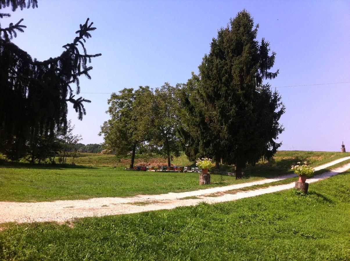 B&B De Carol Gramignazzo Zewnętrze zdjęcie